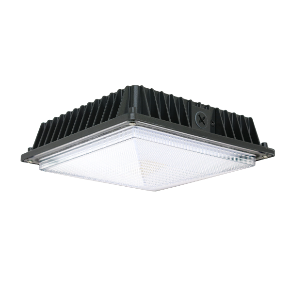 LED Canopy Light