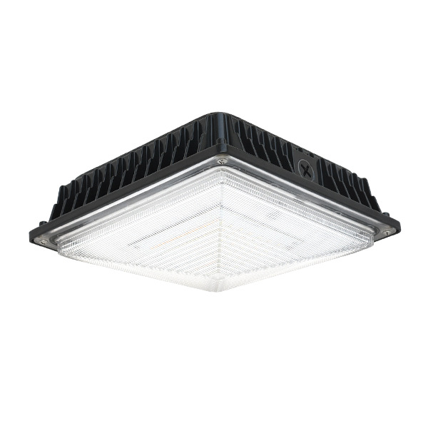 LED Canopy Light