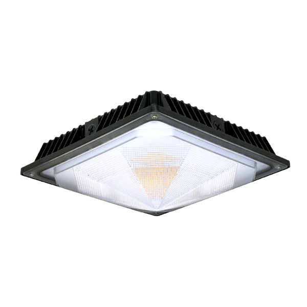 LED Canopy Light